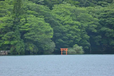 DSC_3737 (Large).JPG